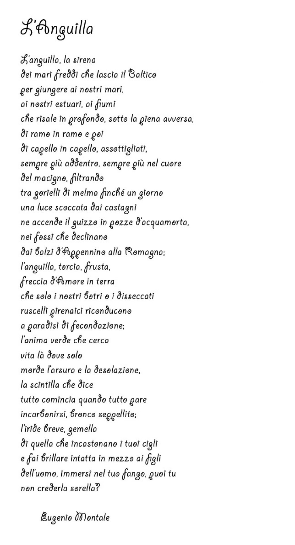 Poesía E. Montalle